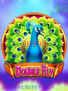 DoubleFly: Aventuras no Mundo dos Céus